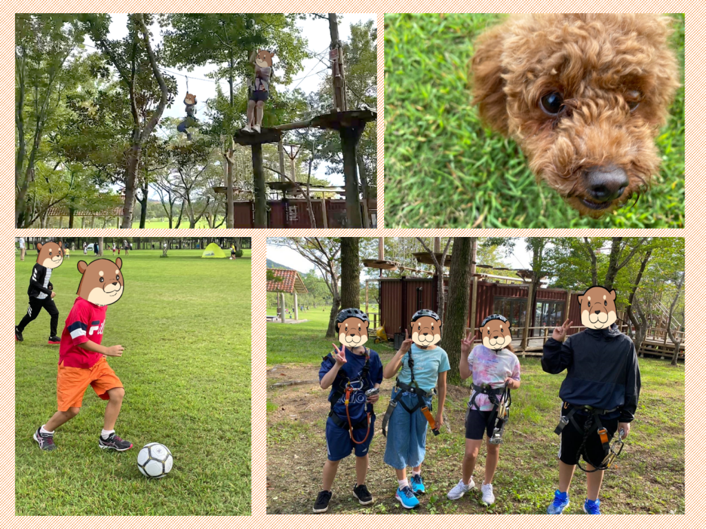 しあわせの村 神戸市垂水区 放課後等デイサービス BallDay(ボール・デイ) しあわせの村 神戸市垂水区 放課後等デイサービス BallDay(ボール・デイ)