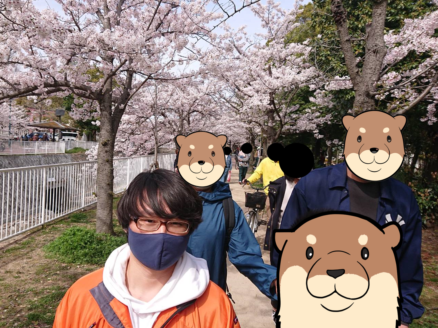 神戸の桜は今が見頃。というわけでは、お花見に行ってきました。
